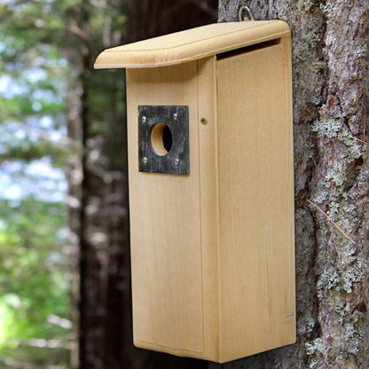 Coveside Mounted Downy Woodpecker Bird Nest House