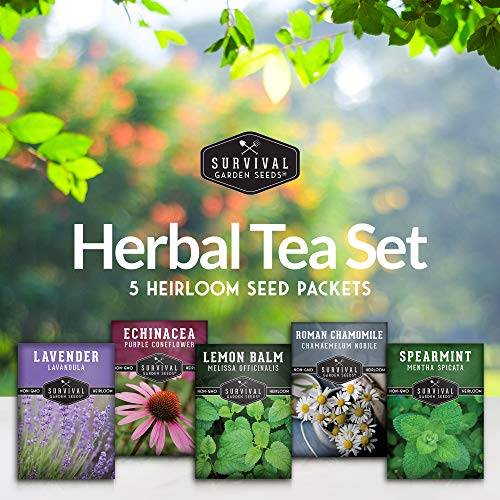 Herbal Tea Garden Seeds Kit – 5 Heirloom Medicinal Herbs for Soothing Teas, Remedies & Pollinator-Friendly Gardens