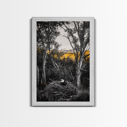 Bald Eagle Nest Art, Black White Forest, Yellow Fall Trees, Wildlife Nature Decor, Rustic Lodge Wall Art, Living Room Art, Canvas Print