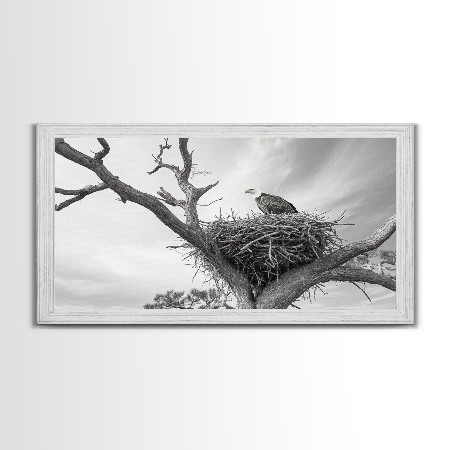 Bald Eagle Nest, Wildlife Nature Art, Rustic Cabin Decor, Framed Canvas Print, Patriotic Office Wall Art, Woodland Photography