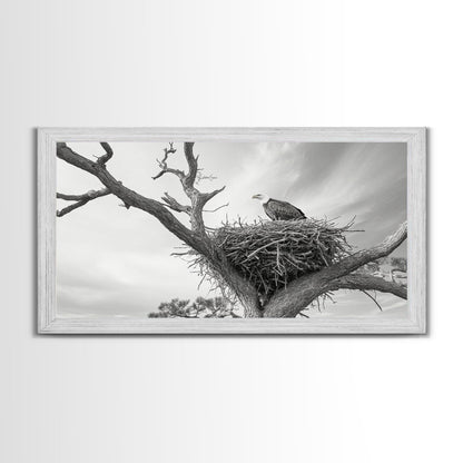 Bald Eagle Nest, Wildlife Nature Art, Rustic Cabin Decor, Framed Canvas Print, Patriotic Office Wall Art, Woodland Photography