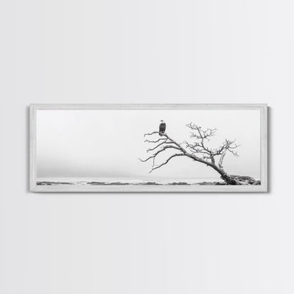 Bald Eagle, Tree Perch, Foggy Coast, Framed Canvas Print, Wildlife Photography, Cabin Wall Art, Rustic Minimalist Decor