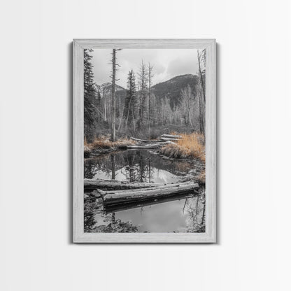 Forest Pond, Moody Woods, Black and White, Autumn Grass, Framed Canvas Print rustic cabin art, nature wall decor, woodland living room art