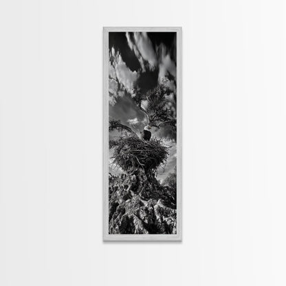 Bald Eagle Nest ,Framed Canvas Print, bird art, moody art, rustic décor, farmhouse art, gift idea, southwest wall art, landscape painting