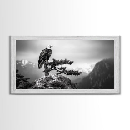Majestic Bald Eagle, pine tree art, bird art, nature photography, mountain painting, wildlife art, extra wide art, framed canvas print