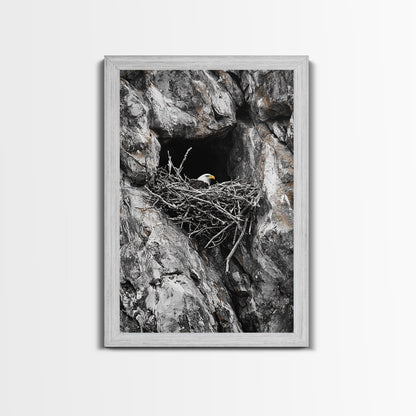 Bald eagle, wildlife art, bird wall art, framed canvas print, nature decor, mountain painting, eagle nest, rustic wall art, cabin decor