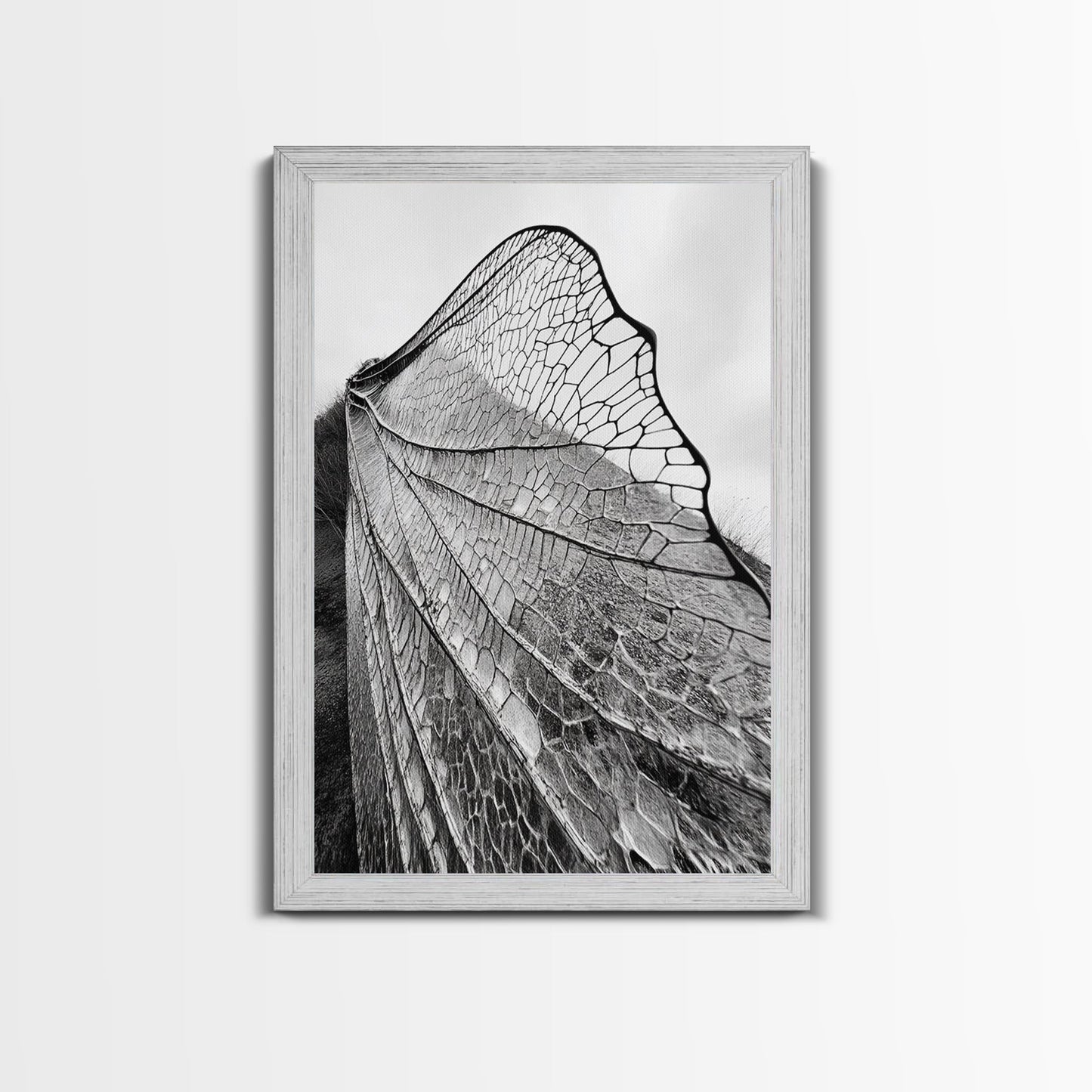 Dragonfly Wing, nature photography, moody art, wabi sabi art, minimalist art, botanical prints, framed canvas print, rustic wall art
