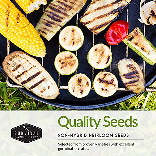 Barbecue Vegetable Seed Collection – 6 Heirloom Grilling Favorites for Summer Cookouts