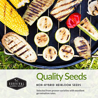 Barbecue Vegetable Seed Collection – 6 Heirloom Grilling Favorites for Summer Cookouts