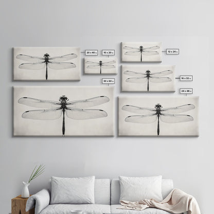 Dragonfly Sketch, Insect Art Print, Botanical Illustration, Minimalist Natural History, Framed Canvas Print, Office or Study Wall Art