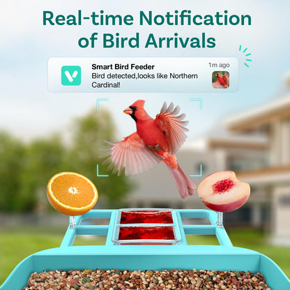 Smart Bird Feeder with Camera, Free AI to Identify 11000+ Bird Species, Solar Panels Bird Video & Motion Detection Camera Auto Capture Notify,Hummingbird Camera Feeder for Outdoors