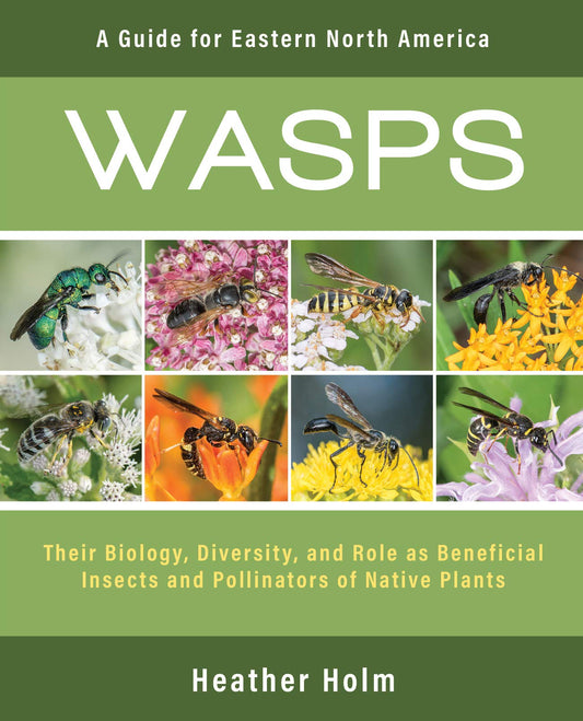 Wasps: Their Biology, Diversity, and Role and Beneficial Insects and Pollinators of Native Plants