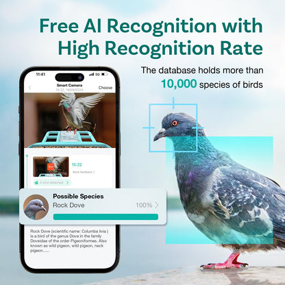 Smart Bird Feeder with Camera, Free AI to Identify 11000+ Bird Species, Solar Panels Bird Video & Motion Detection Camera Auto Capture Notify,Hummingbird Camera Feeder for Outdoors