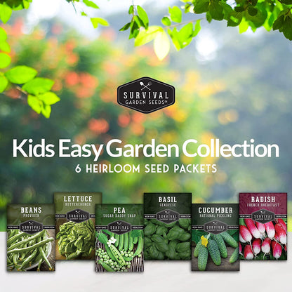 Kid’s Easy Garden Seed Collection – 6 Fast-Growing Vegetables & Herbs for Beginner Gardeners
