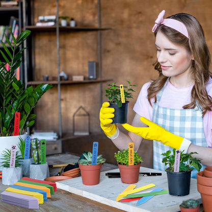 Plant Labels 4 Inch Plastic Plant Name Tags for Seedlings Garden Labels Markers Nursery Plant Tags Seed Labels Stakes with Permanet Marking Pen Plant Markers for Outdoor Garden (Multicolor600)