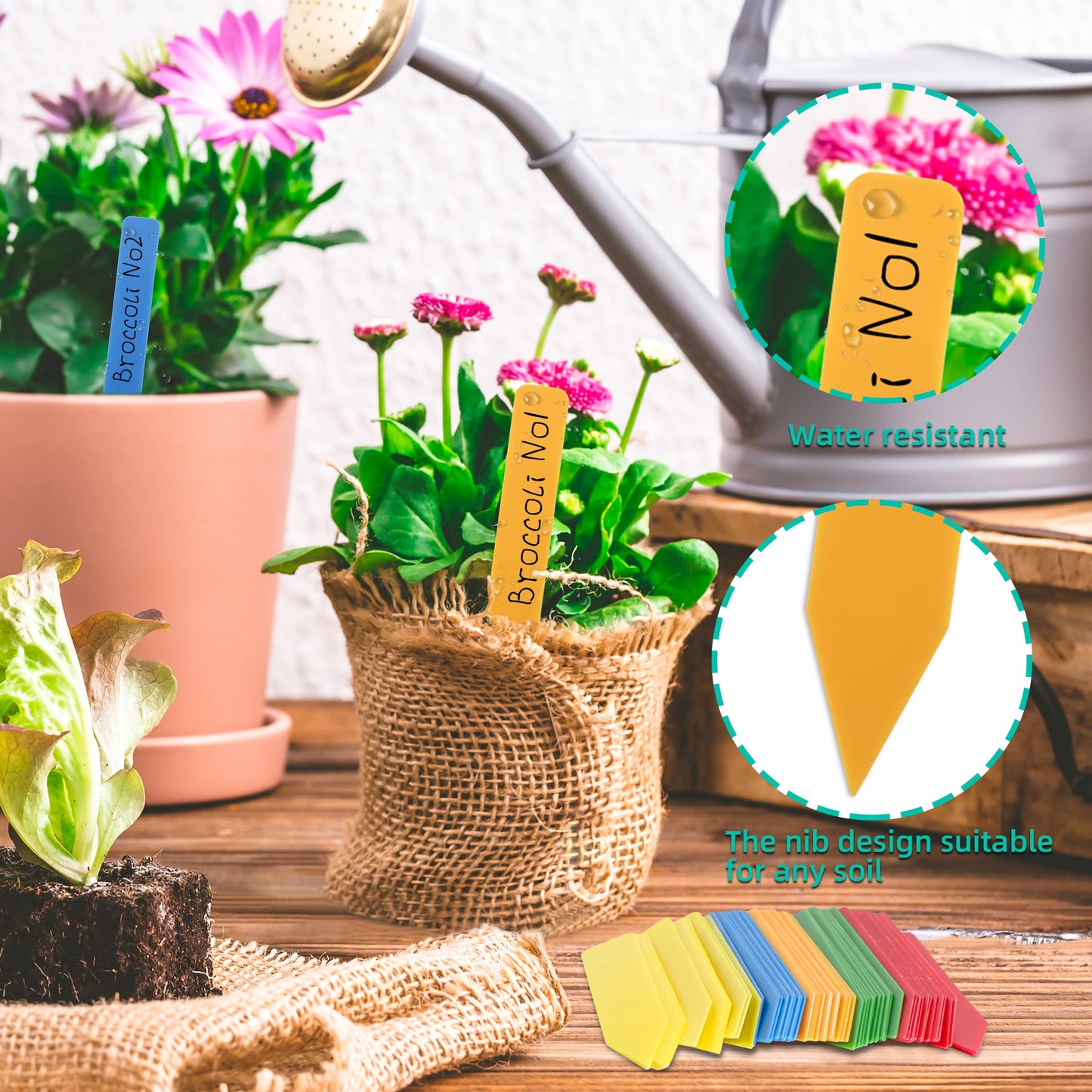 Plant Labels 4 Inch Plastic Plant Name Tags for Seedlings Garden Labels Markers Nursery Plant Tags Seed Labels Stakes with Permanet Marking Pen Plant Markers for Outdoor Garden (Multicolor600)