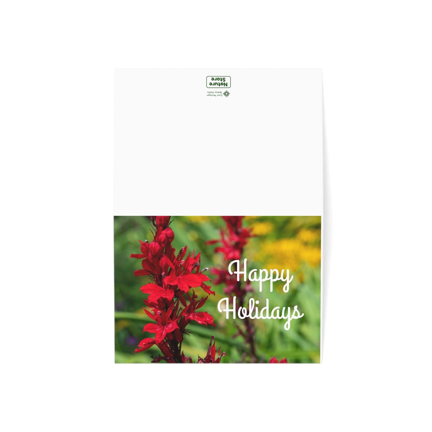 Holiday Cards, Cardinal Flower (1, 10, 30, and 50pcs)