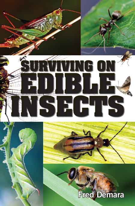 Surviving On Edible Insects