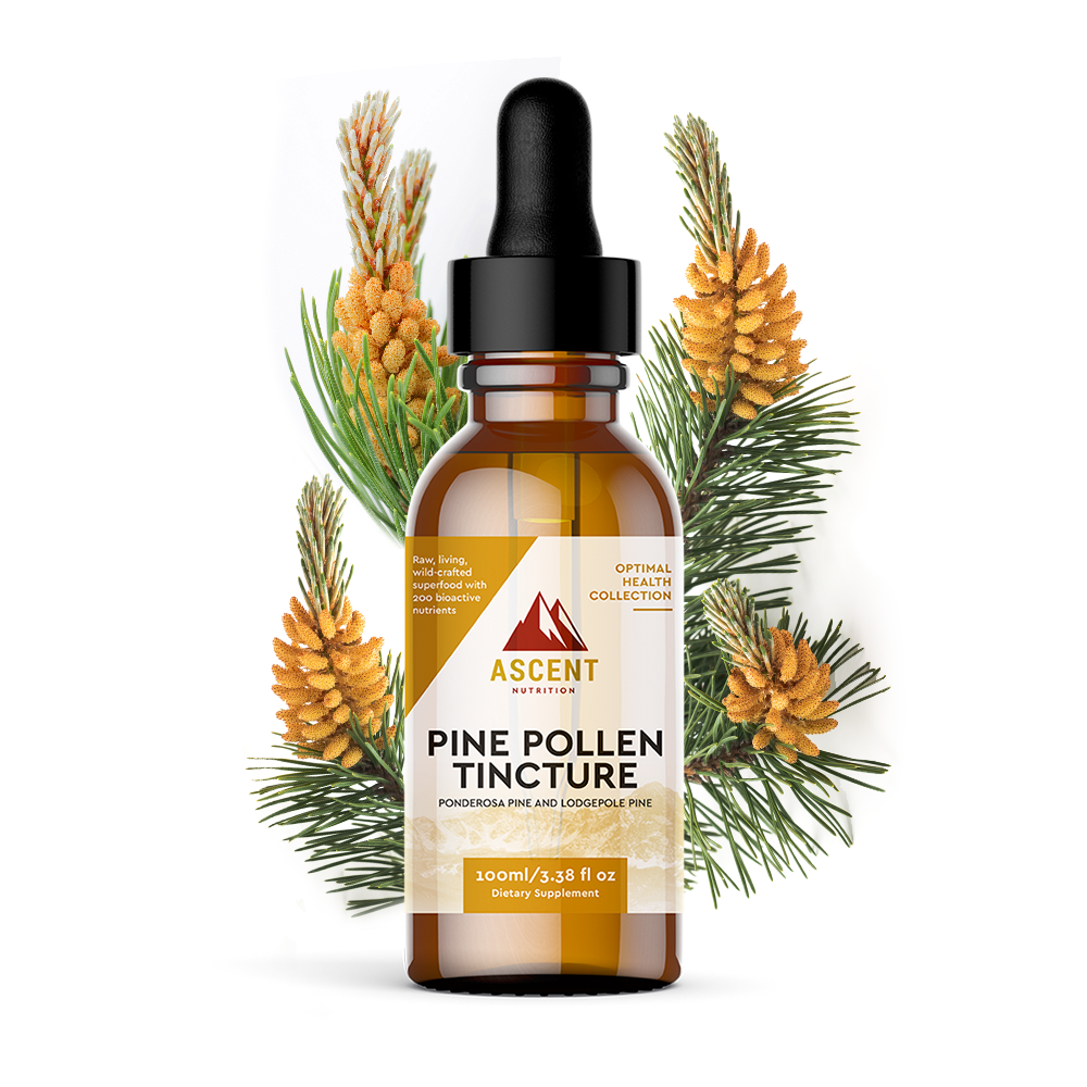 Wild-Harvested Pine Pollen Tincture, 335 mg