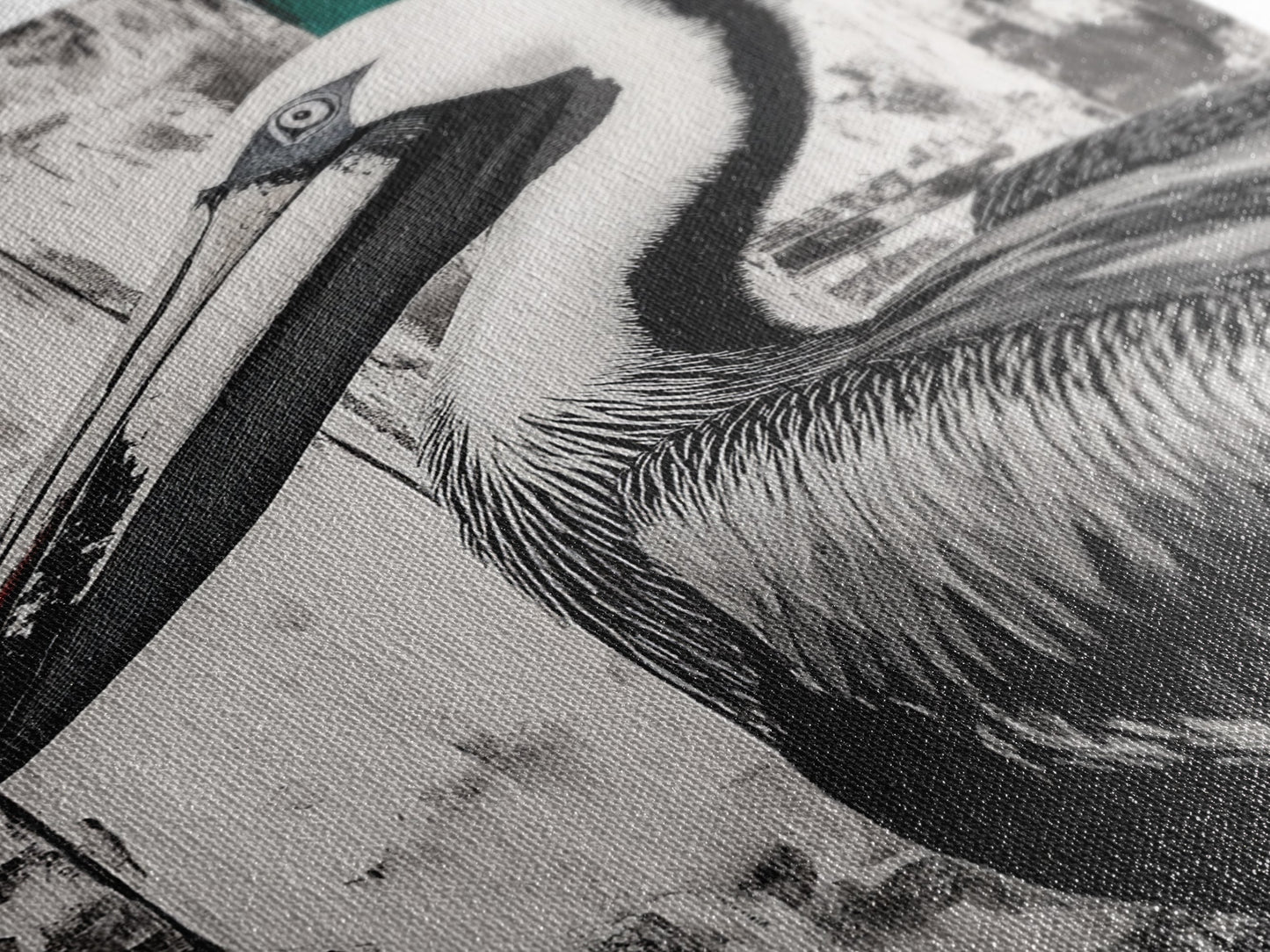 Pelican Portrait, wildlife wall art, coastal nature painting, black and white bird decor, modern beach house print, framed canvas print