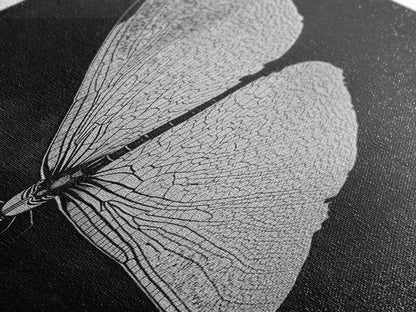Dragonfly Wings Macro, Nature Insect Print, Detailed Bug Art, Minimalist Scientific Wall Decor, Framed Canvas Print, Study Room Art