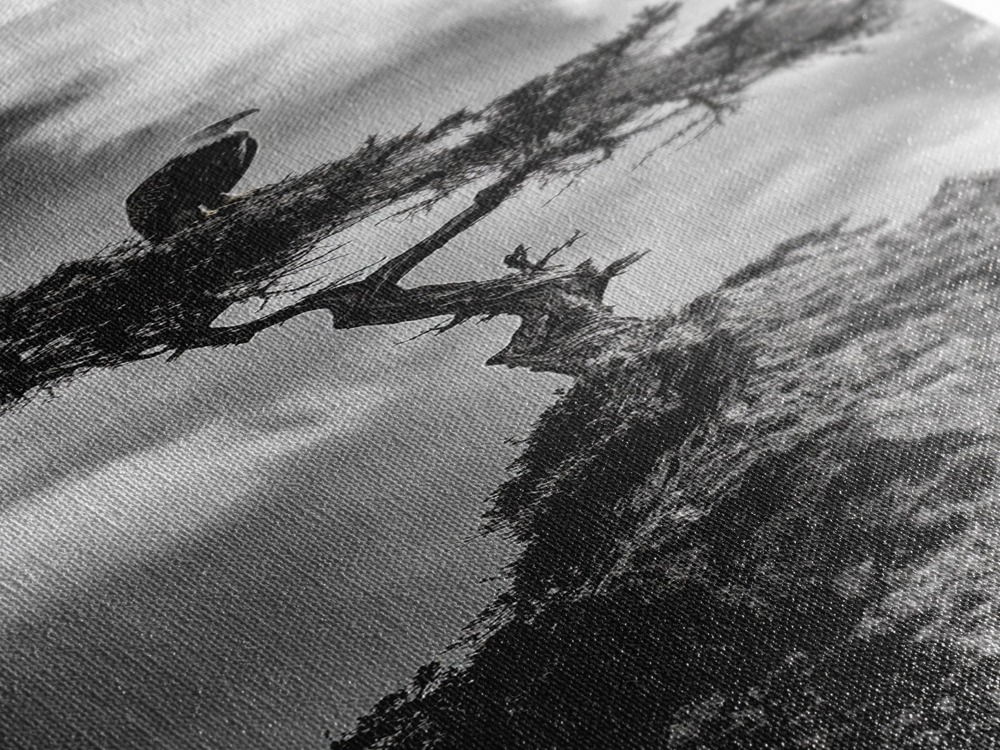 Eagle Tree, Cliff Perch, Bold Wildlife, Adventure Decor, Framed Canvas Print, Rustic Cabin Wall Art, American Symbolic Art