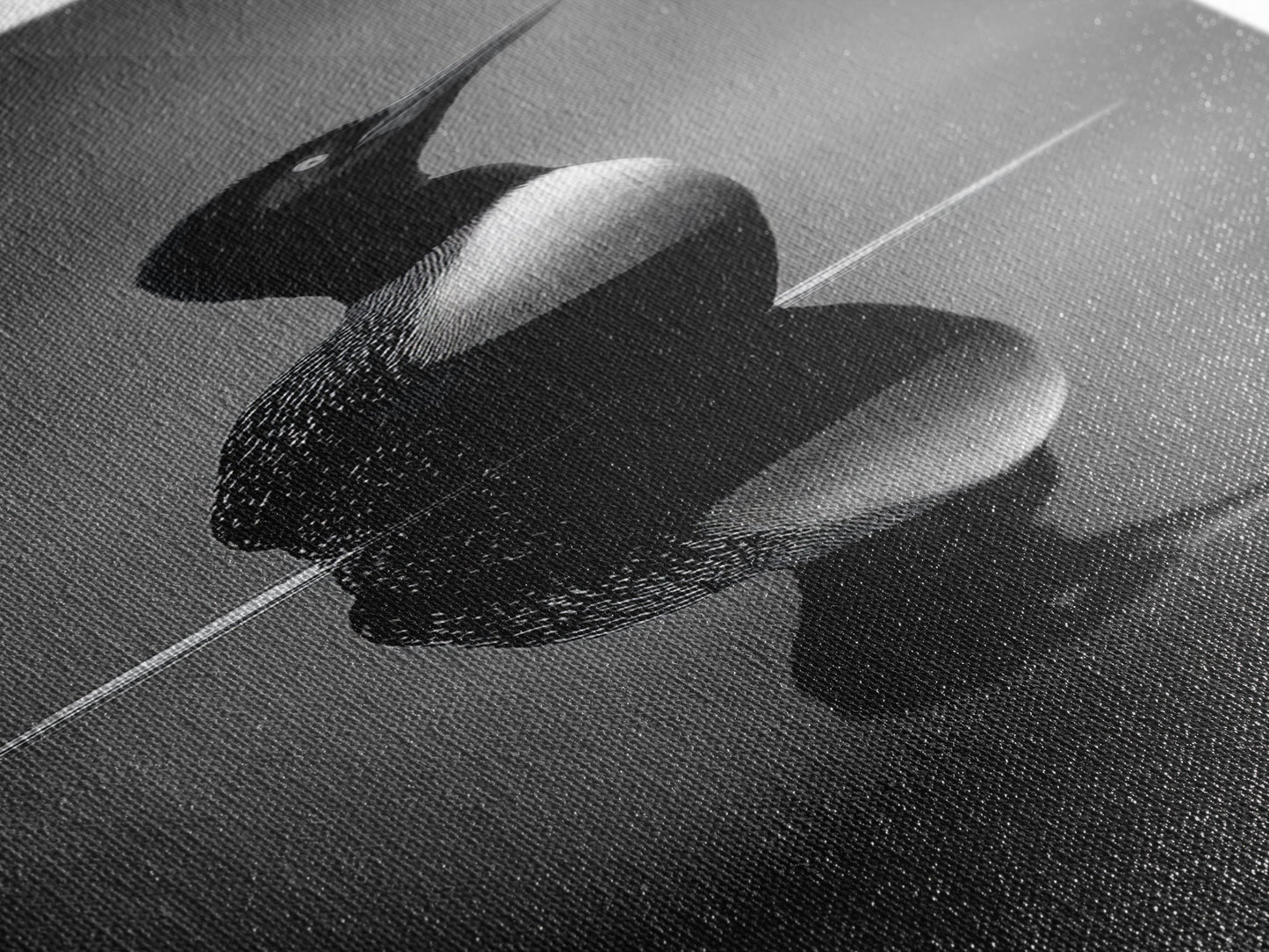 Reflected Loon, Lake Silence, Bird Mirror, Wildlife Art, Moody Black White Framed Canvas Print, Study Nature Wall Decor Minimalist Style