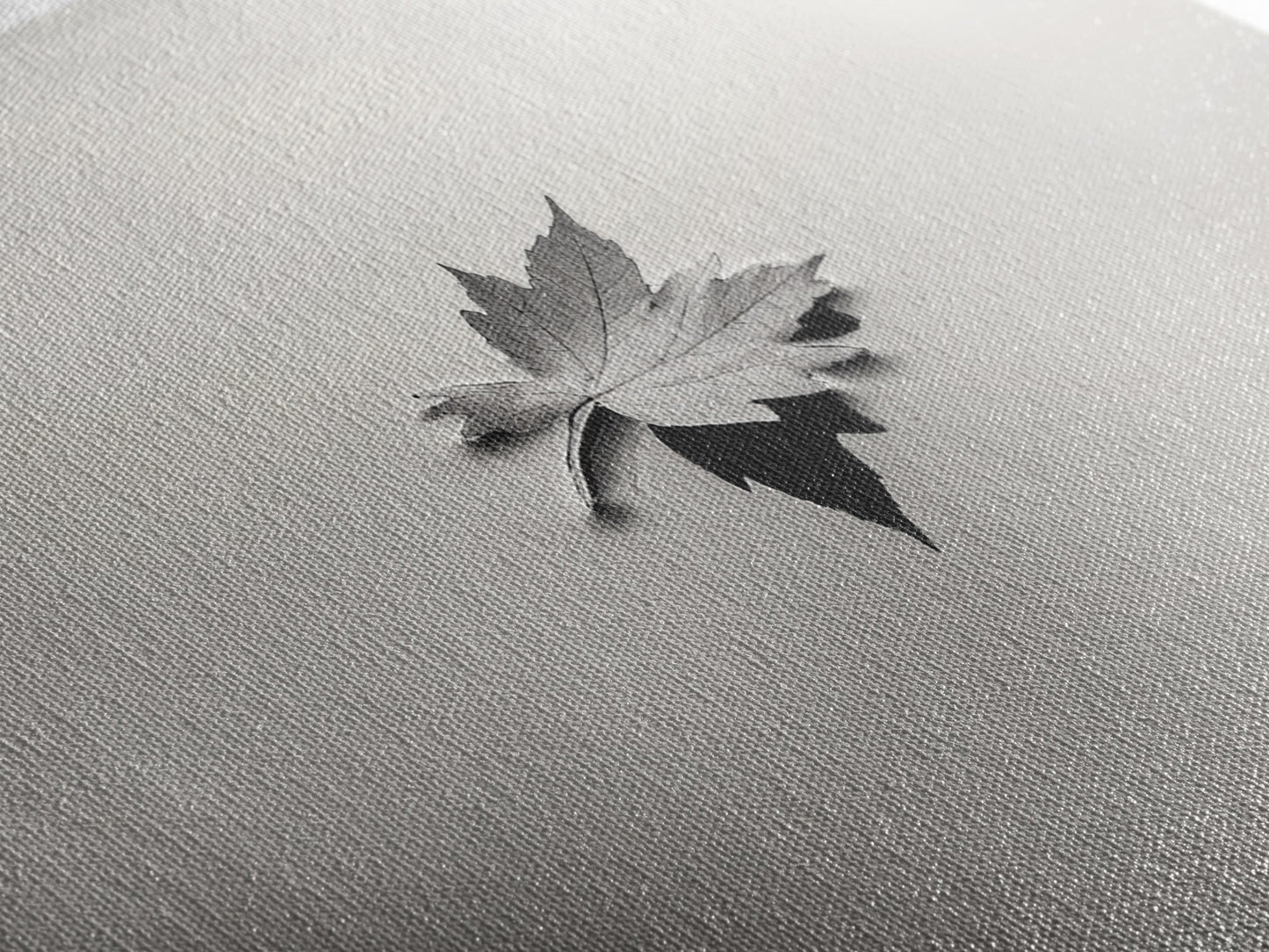 Autumn Leaf, Tranquil Water, Floating Serenity, Soft Tones Nature Art, Canvas Print, Fall Bedroom Wall Art, Minimalist Style