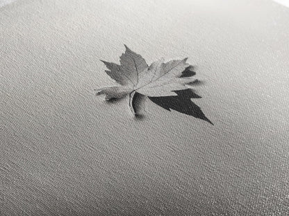 Autumn Leaf, Tranquil Water, Floating Serenity, Soft Tones Nature Art, Canvas Print, Fall Bedroom Wall Art, Minimalist Style