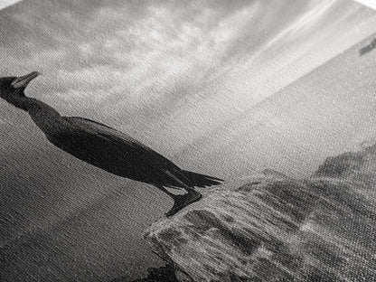 Sea Bird, Rocky Shore, Stormy Horizon, Coastal Watcher, Canvas Print, Nature Photography Art, Bedroom Decor, Ocean Wildlife