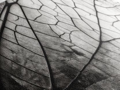 Macro Insect Wing, Abstract Nature Texture, Modern Neutral Wall Decor, Framed Canvas Print, Office Art, Monochrome Macro Photography