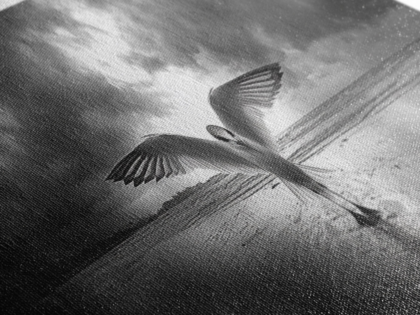 Winged Bird Beach, Coastal Sunrise, Dramatic Flight, Canvas Print, Beach House Decor, Living Room Wall Art, Nature Photography