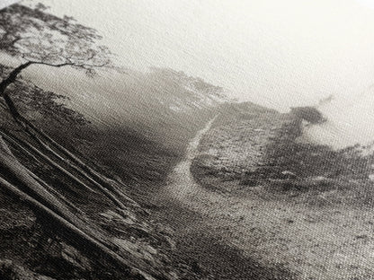 Forest Path, Misty Woods, Quiet Trail, Coastal Fog, Framed Canvas Print, Scandinavian Decor, Entryway Art, Minimal Nature Photography