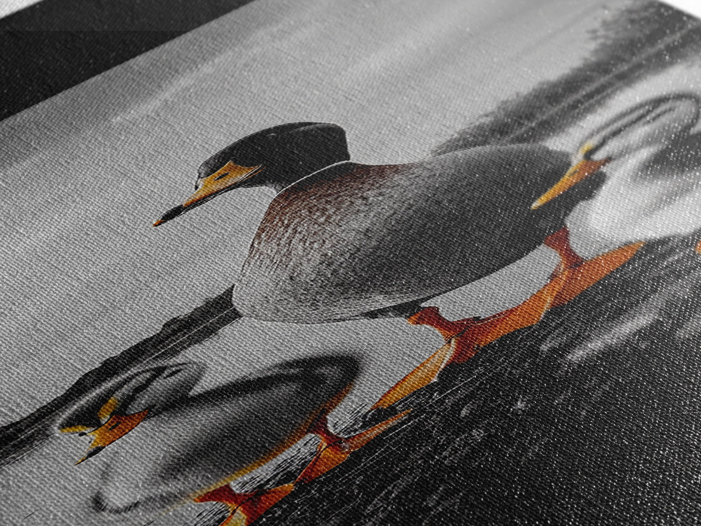 Duck Family, Lake Wildlife, Whimsical Birds, Baby Ducks, Canvas Print, Farmhouse Wall Art, Nursery Animal Decor, Playroom Country Vibes