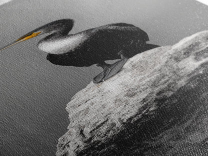 Cormorant Bird, Coastal Bird Art, Water Bird, Minimal Nature Art, Black and White Wildlife, Framed Canvas Print, Modern Entryway Wall Art