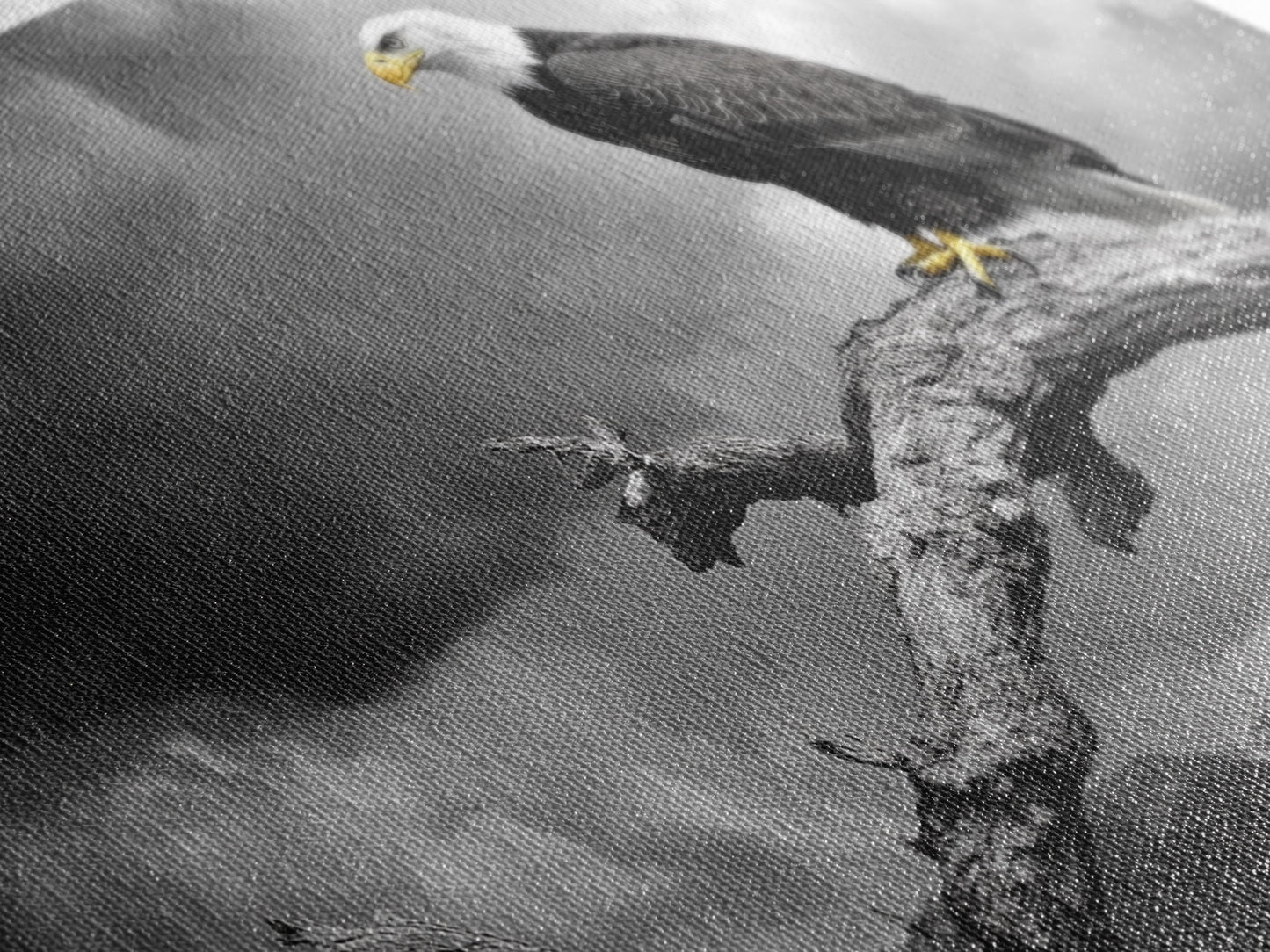 Eagle, Branch, Storm, Power and grace collide in this Framed Canvas Print of a majestic eagle perched before a storm, Living Room Wall Art