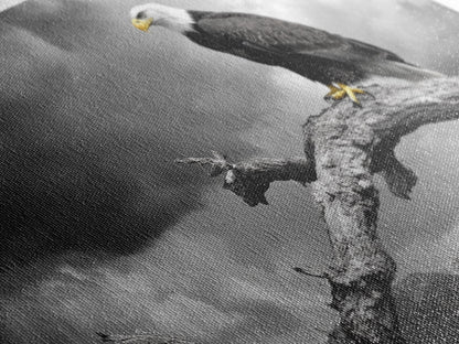 Eagle, Branch, Storm, Power and grace collide in this Framed Canvas Print of a majestic eagle perched before a storm, Living Room Wall Art