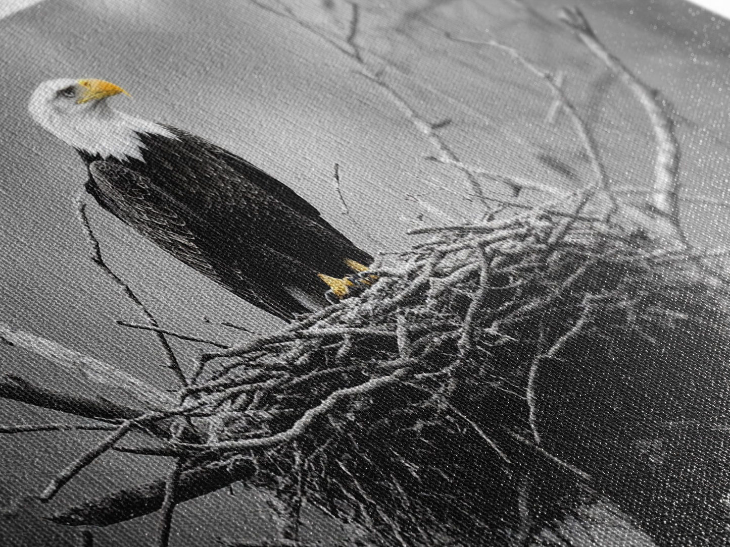 Bald Eagle, Monochrome Nature, Wildlife Photography, Fierce Majesty, Framed Canvas Print, Office Wall Art, Black White Bold Bird Scene