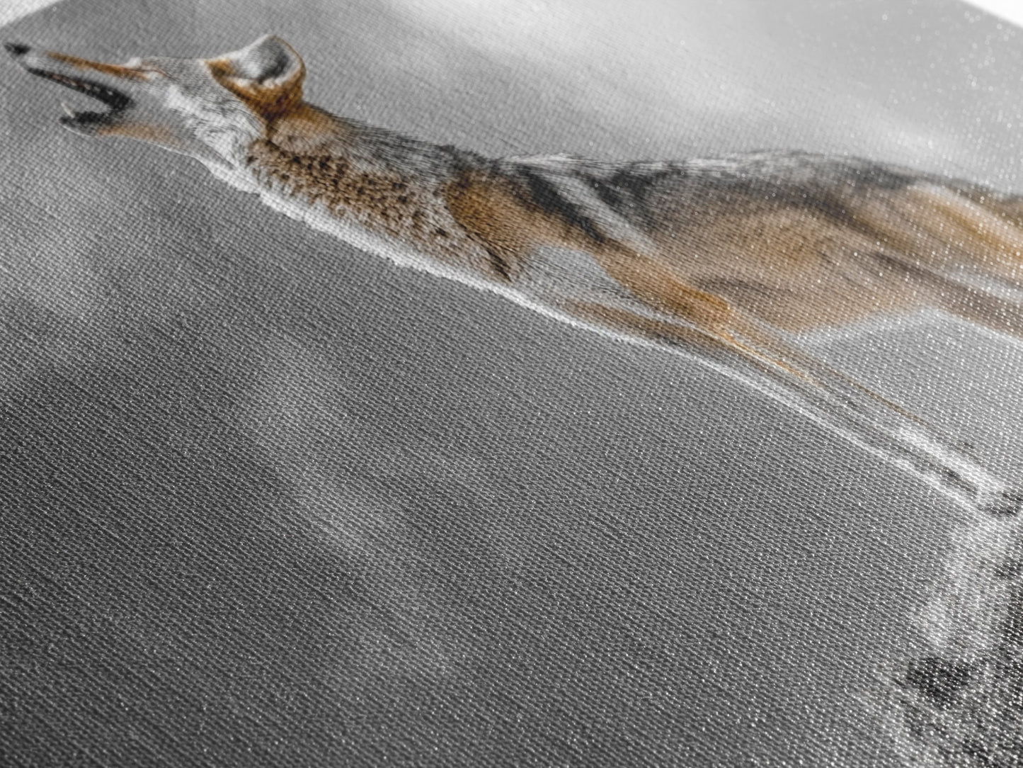 Howling Coyote Peak, Desert Wildlife Portrait, Majestic Animal Scene, Framed Canvas Print, Cabin Decor, Nature Wall Art, Minimalist Vibe