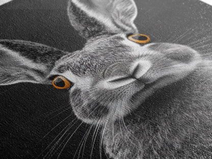 Wide Eyed Rabbit, Animal Portrait, Monochrome Humor, Framed Canvas Print, Nursery Wall Art, Whimsical Minimalist Decor, Funny Gift