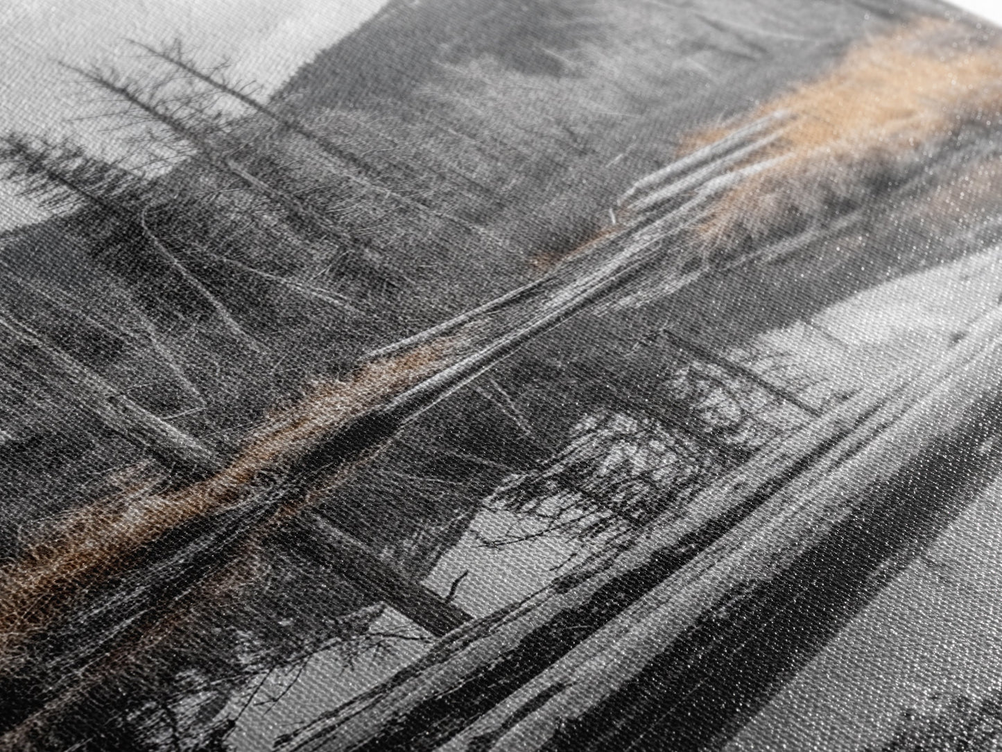 Forest Pond, Moody Woods, Black and White, Autumn Grass, Framed Canvas Print rustic cabin art, nature wall decor, woodland living room art