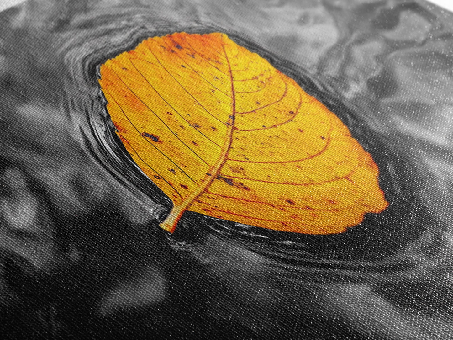 Floating Autumn Leaf, Orange Leaf on Water, Framed Canvas Print, Fall Bathroom Wall Art, Nature Closeup Photography, Minimalist Decor