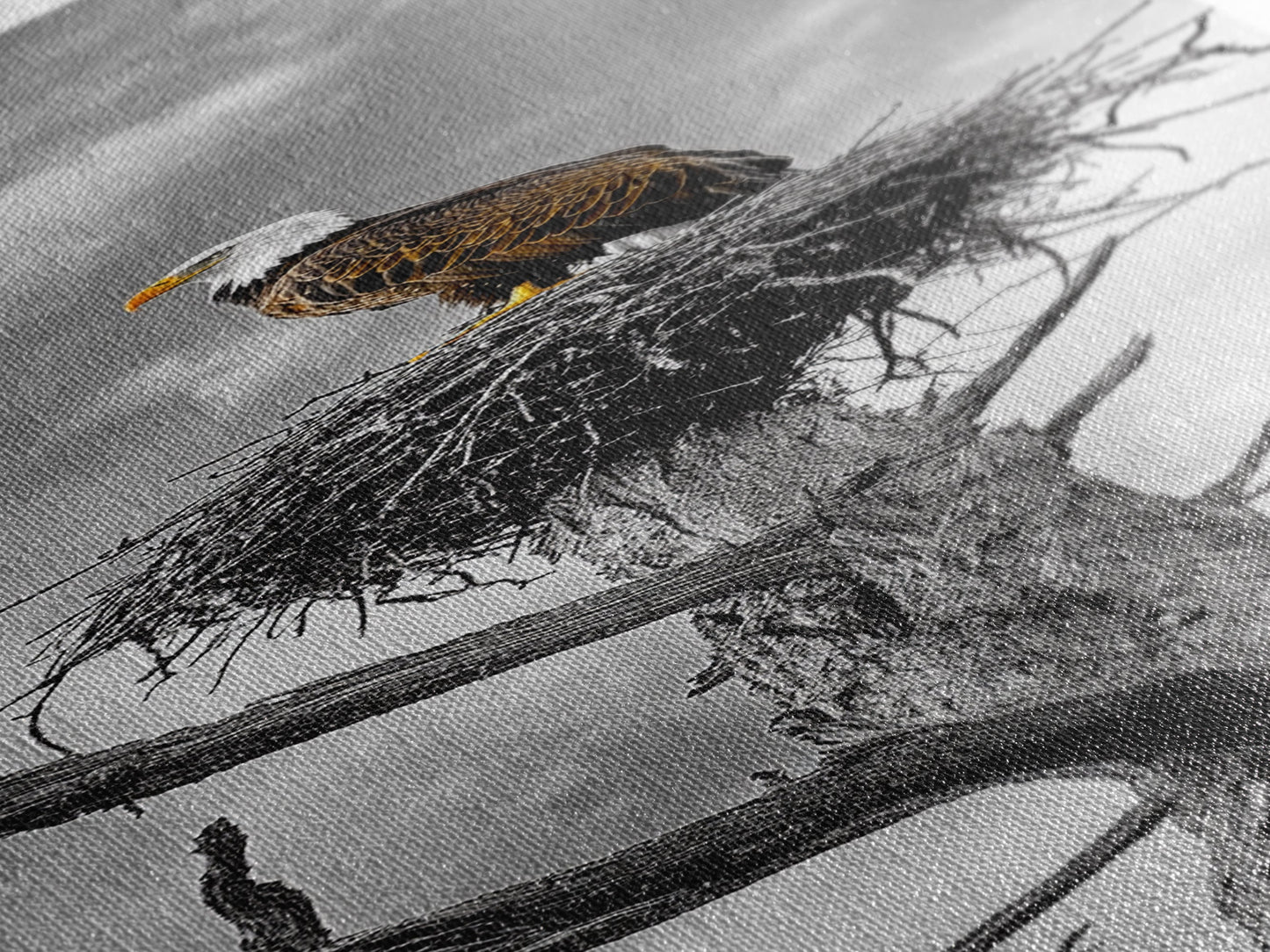 Majestic Eagle Wall Art Framed Canvas Print | Rustic Decor | Wildlife Nature Painting | Above Couch Art | Moody Art | Gift Idea