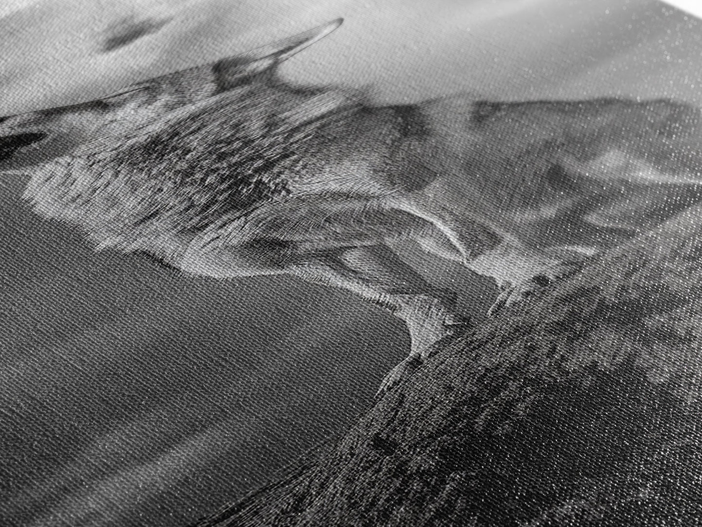 Howling Coyote, Framed Canvas Print, southwest wall art, rustic wall art, wildlife photography, desert landscape art, cowboy art, boho home decor