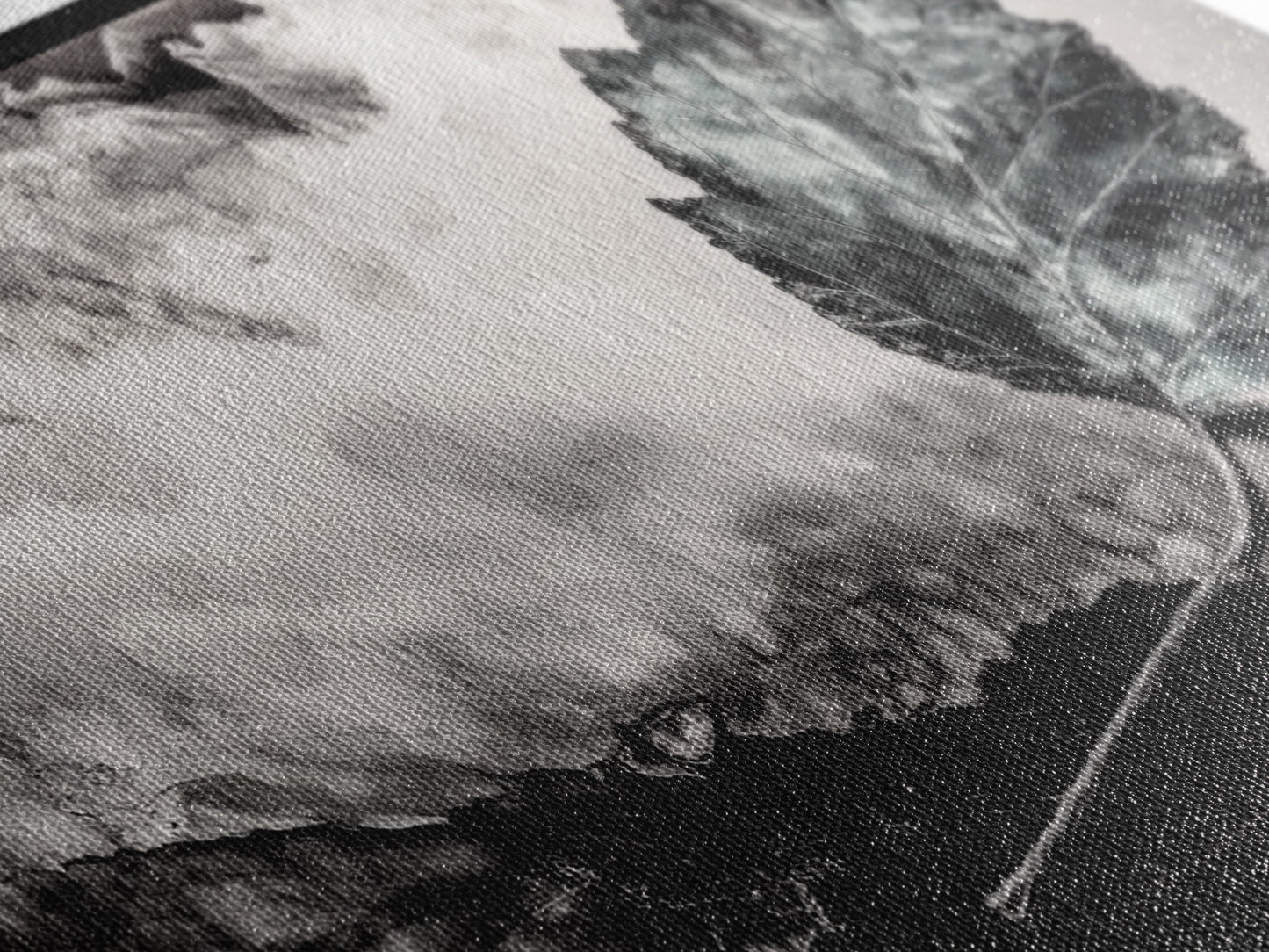 Nature Leaf Art, Monochrome Painting, Abstract Botanical Prints, Black and White Art, Modern Wall Decor, Framed Canvas Print, Rustic Art