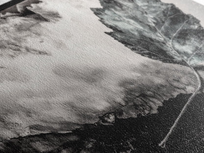 Nature Leaf Art, Monochrome Painting, Abstract Botanical Prints, Black and White Art, Modern Wall Decor, Framed Canvas Print, Rustic Art