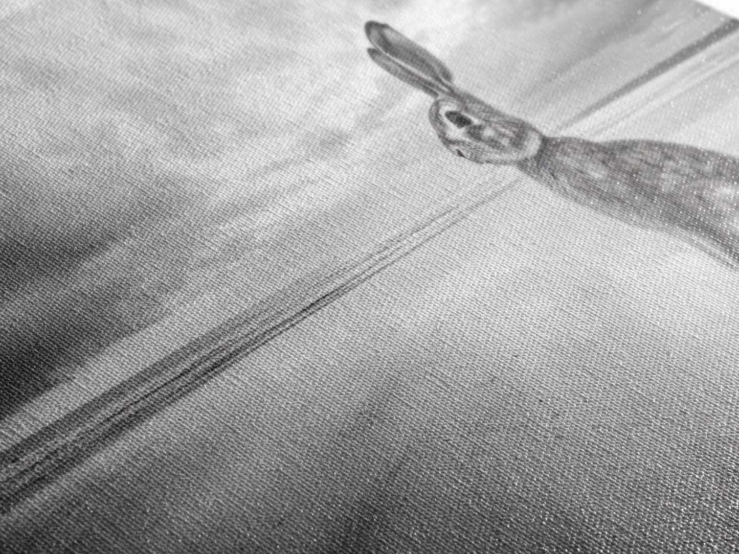 Rabbit Beach, whimsical art, coastal decor, animal painting, nature wall art, moody art, soft neutral tones, beach photography, Canvas Print