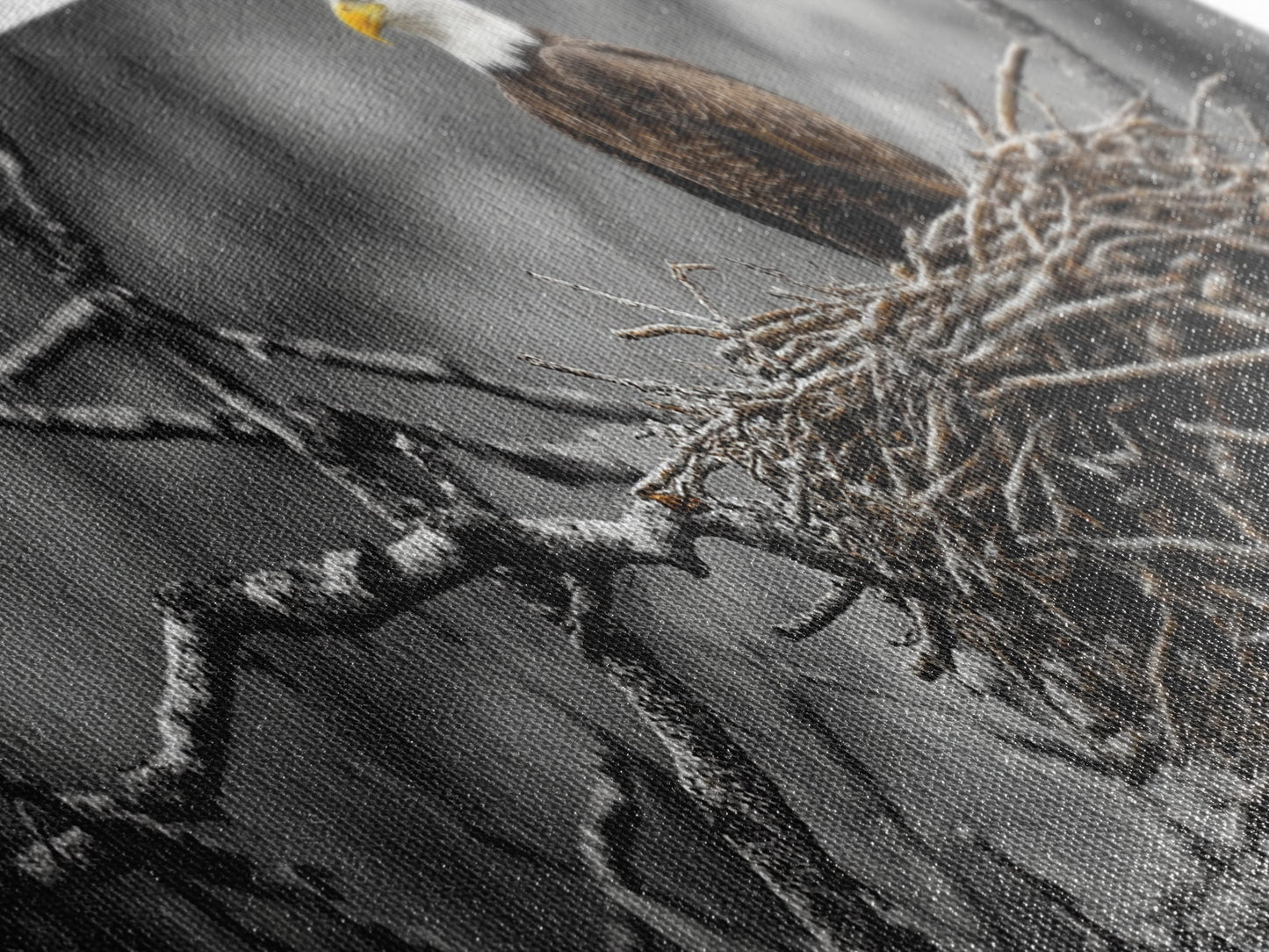 Bald Eagle, Nature Wall Art, Rustic Art, Wildlife Photography, Bird Art, Above Sofa Art, Panoramic Art, Framed Canvas Print