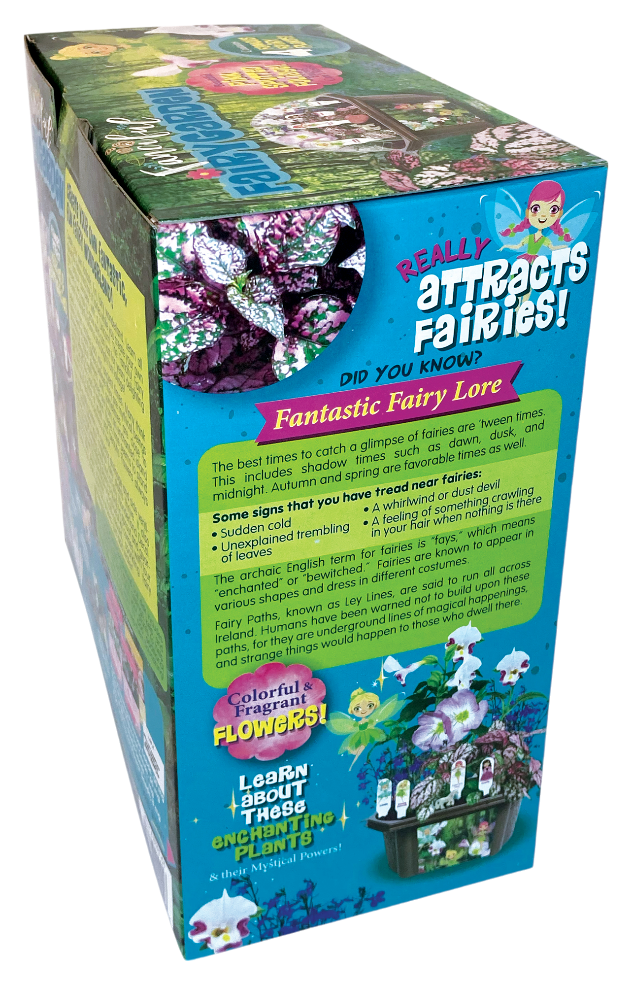 Fanciful Fairy Garden Biosphere Terrarium