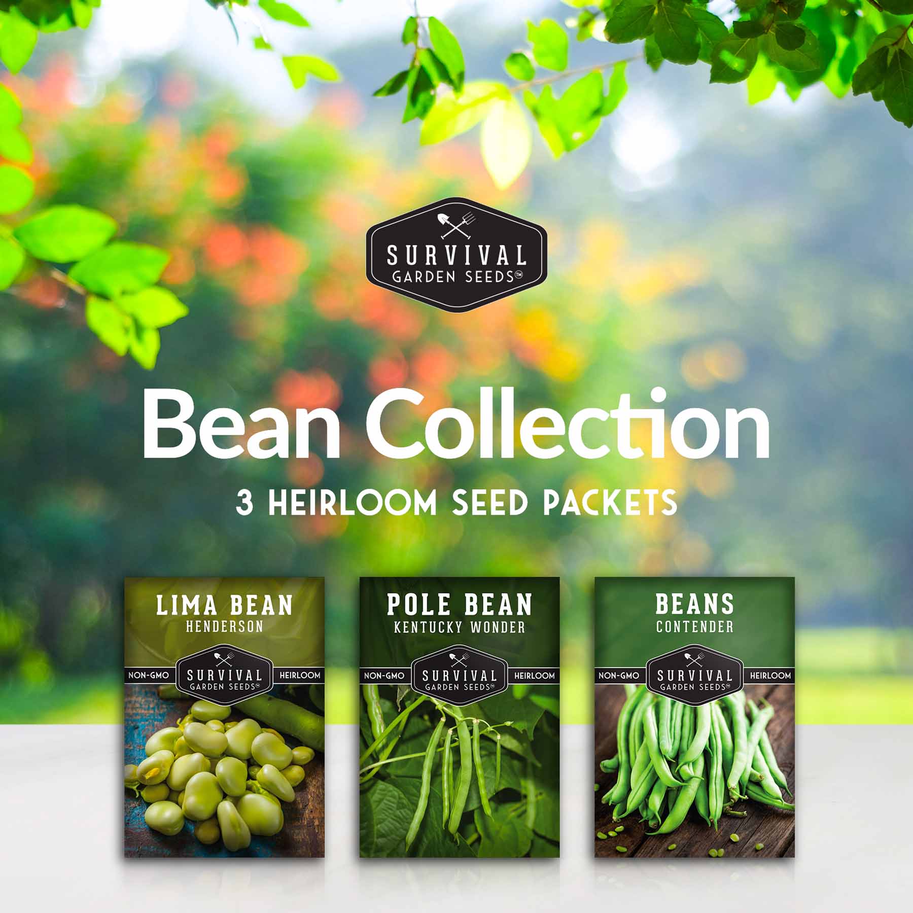 garden beans seeds Bean Seed Collection – Contender Bush Beans, Kentucky Wonder Pole Bean – EastMichNatives Nature Store
